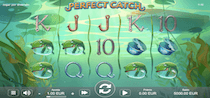 Perfect Catch